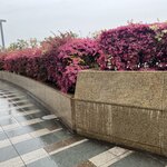 Photo taken by Kirti P