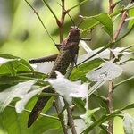 Photo taken by Lisa M