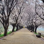 Photo taken by Mark C