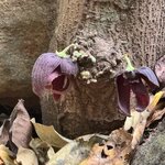 Photo taken by Ben B