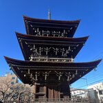 Photo taken by Kirti P