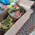 Photo taken by Jenny W