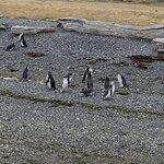 Photo taken by Mike C