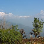 Photo taken by Susan H