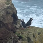 Photo taken by Tom B