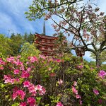 Photo taken by Maddie C