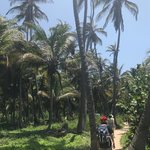 Photo taken by Martha V