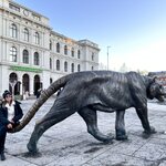 Photo taken by Jennifer E