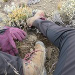 Photo taken by Kristin M