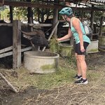 Photo taken by Suzanne W