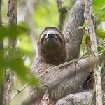 Photo taken by Marc A