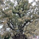 Photo taken by Graciela P