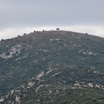 Photo taken by Jason S