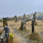 Photo taken by Amy F