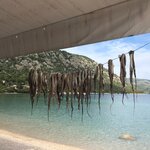 Photo taken by Nisah M