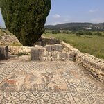 Photo taken by Vivianh H