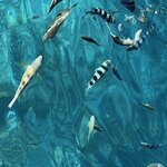 Photo taken by Judith D