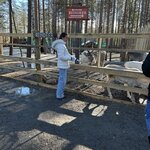 Photo taken by Beth M