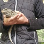 Photo taken by kevin c