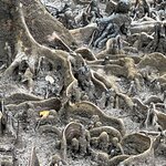 Photo taken by Rosemary S