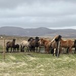 Photo taken by Tom B