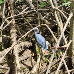 Photo taken by Tenley G