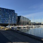 Photo taken by Diane L