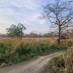 Photo taken by Cayden S