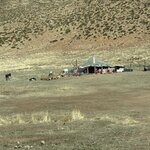 Photo taken by Pam L