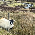 Photo taken by Marcy B