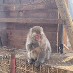 Photo taken by Caz J