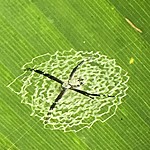 Photo taken by Michelle D