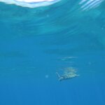 Photo taken by Steven P