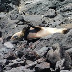 Photo taken by Steven M