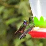 Photo taken by Mary D