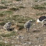 Photo taken by Rob G