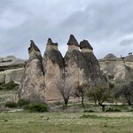 Photo taken by Abhijit G