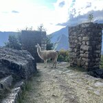 Photo taken by Dion F