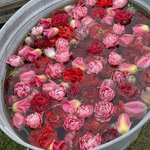 Photo taken by Shannon F