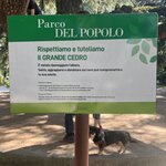 Photo taken by Erin J