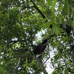 Photo taken by Melanie E