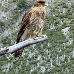 Photo taken by Aditya B