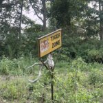 Photo taken by Jean A