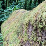 Photo taken by Mordechay T