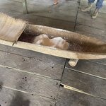 Photo taken by Jessica S