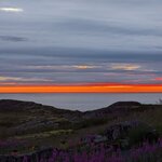 Photo taken by Dani L