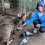 Photo taken by Judy H