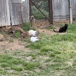 Photo taken by Daniel D