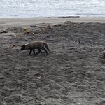 Photo taken by Mike S