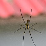 Photo taken by sarah p